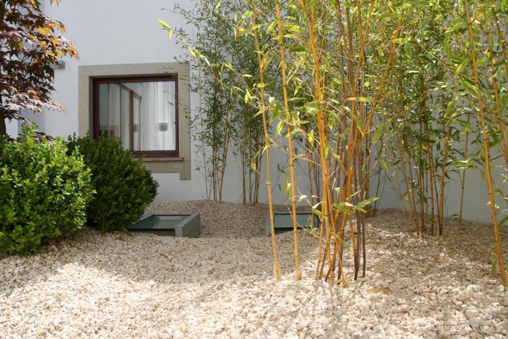 Santo Thyrso Hotel Santo Tirso Eksteriør billede